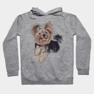 Yorkshire Terrier, cute sketch Hoodie